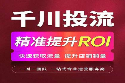 大数据分析在竞价广告中的应用